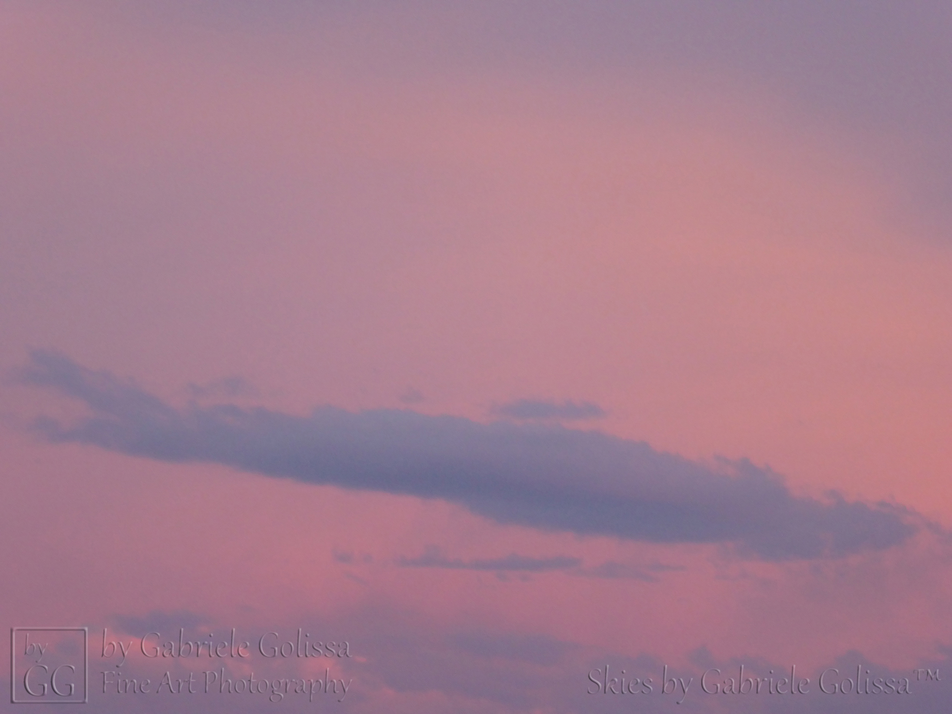 Rosy Hour 1