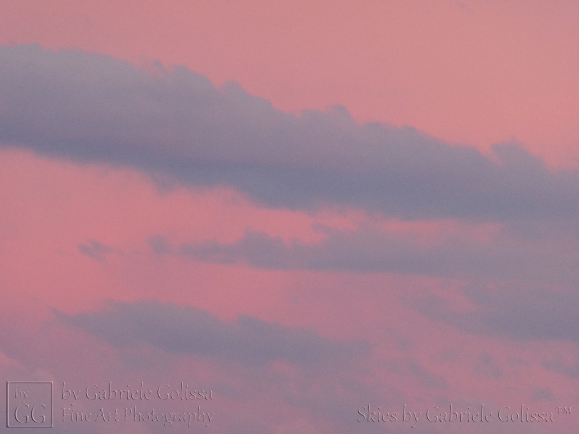 Rosy Hour 4