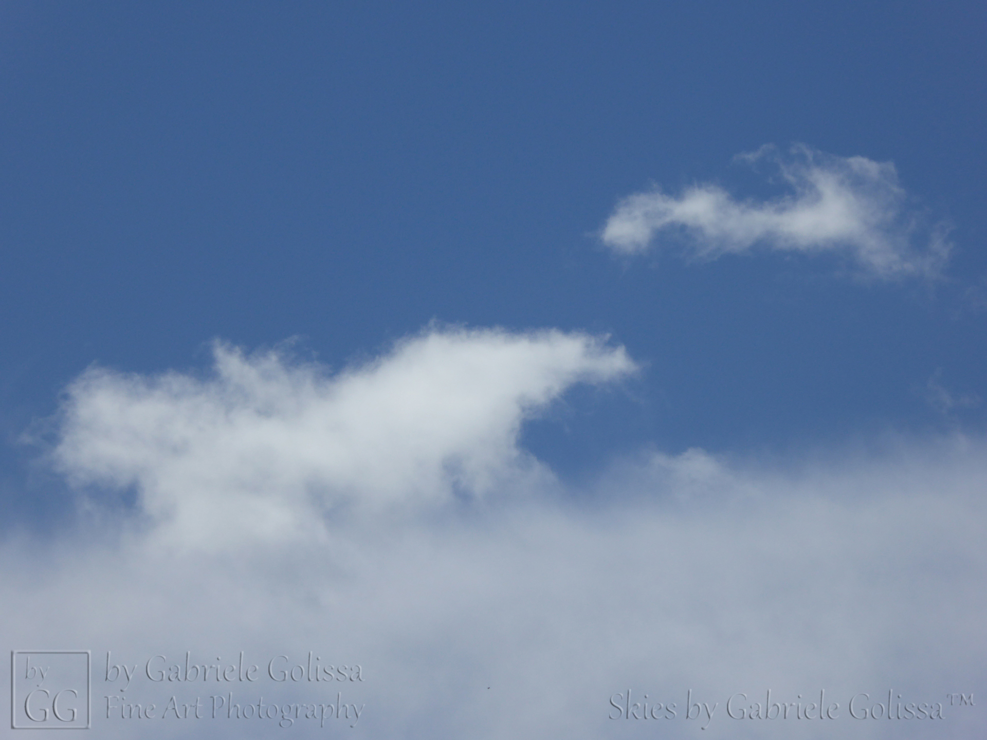“Blue