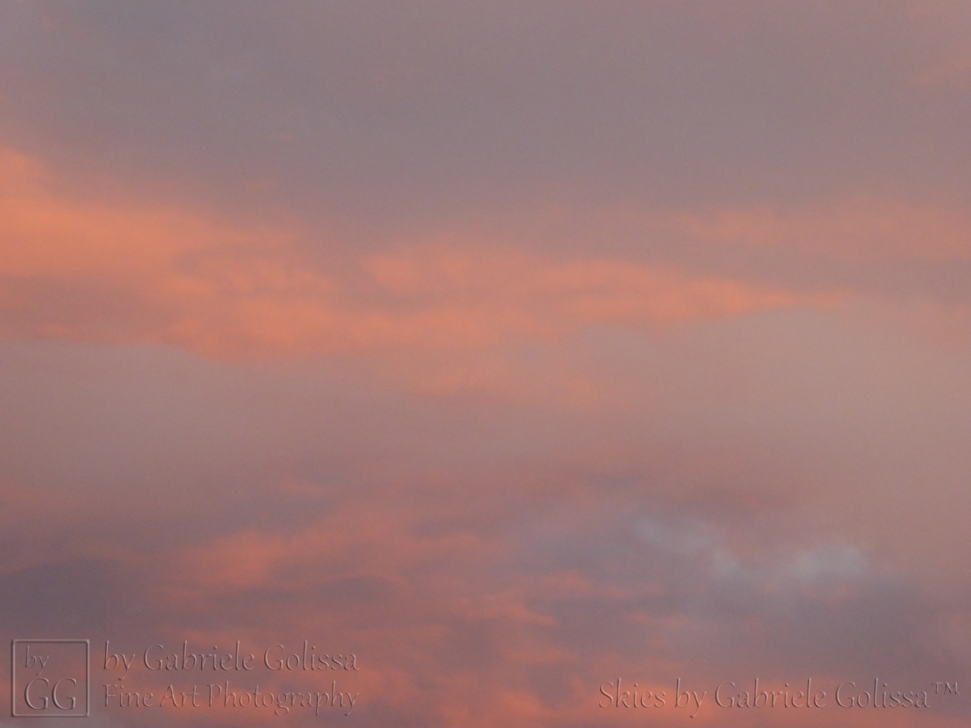 “Orange