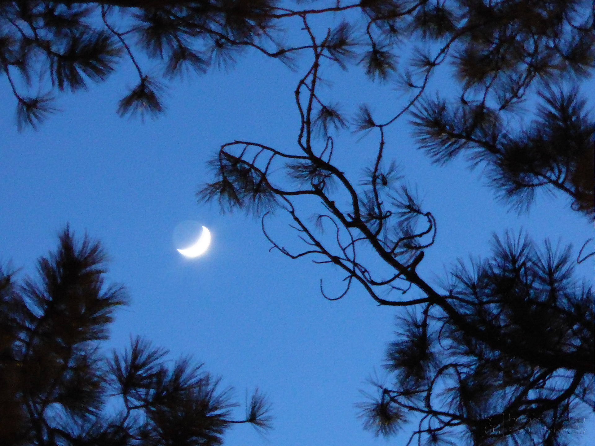 “Earthshine“