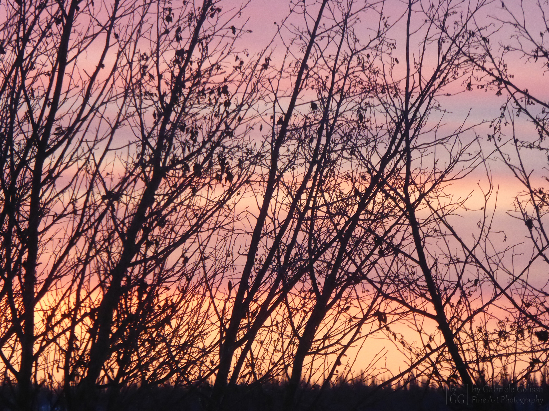 Orange Sunrise
