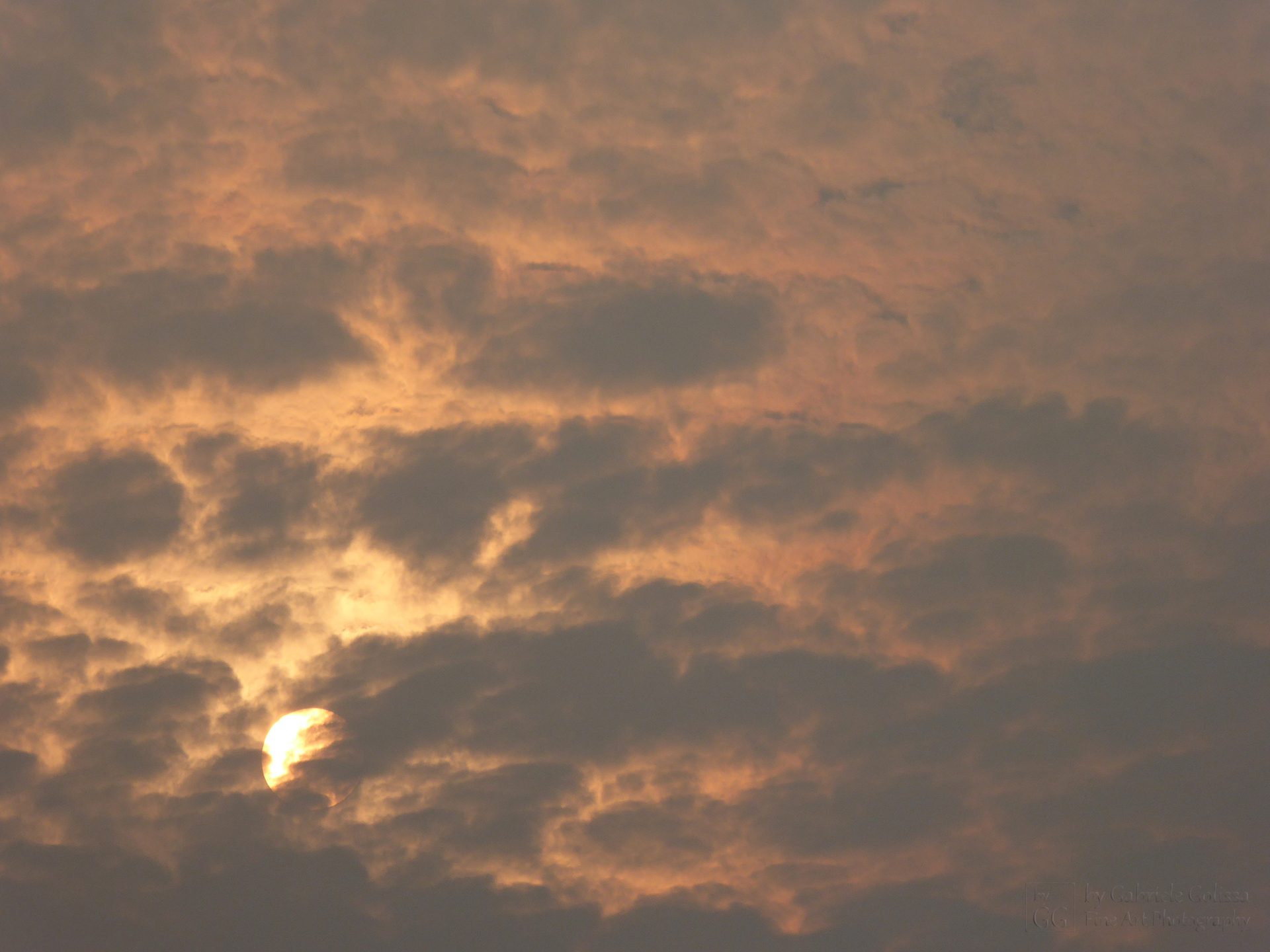 “Rising