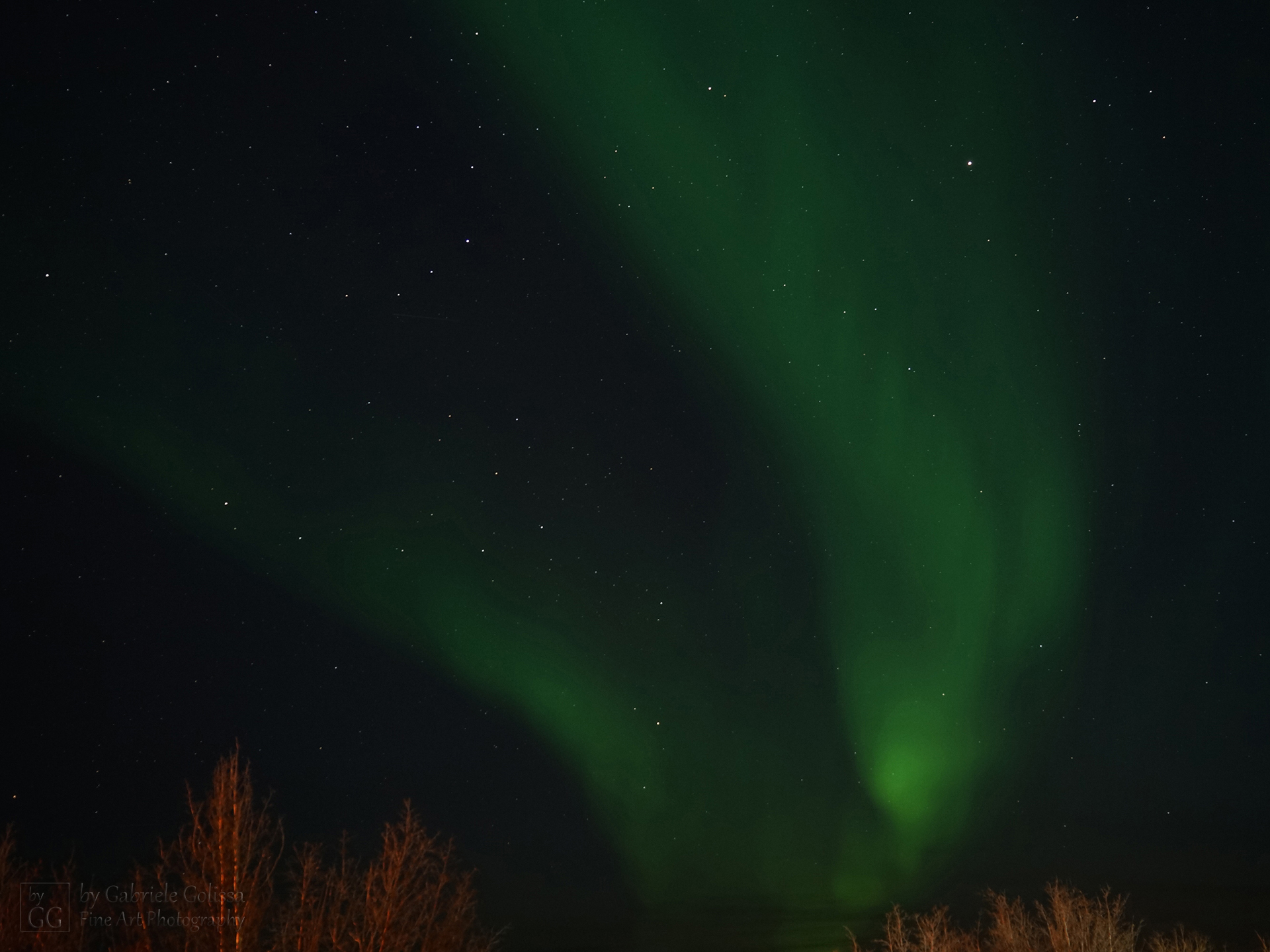 “Aurora