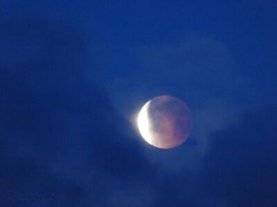 Blue Blood Moon at Dawn